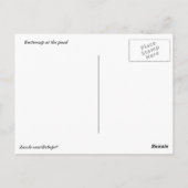 Buttercup bij de Pond Briefkaart (Achterkant)