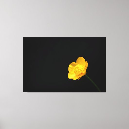 Buttercup Bloem 60x40 (150x100cm) waccna Canvas Afdruk (Voorkant)