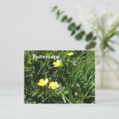 Buttercup, bloem, afbeelding briefkaart (Staand voorkant)