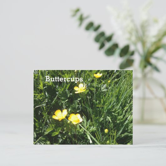 Buttercup, bloem, afbeelding briefkaart (Staand voorkant)