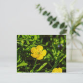 Buttercup Briefkaart (Staand voorkant)