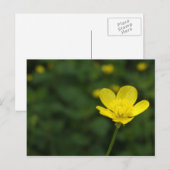 Buttercup Briefkaart (Voorkant / Achterkant)