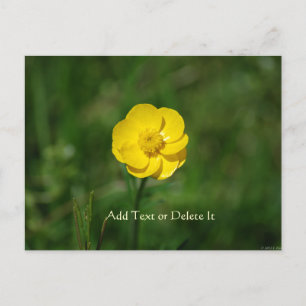 Buttercup briefkaart