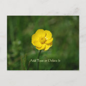 Buttercup briefkaart (Voorkant)