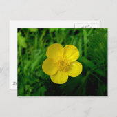 Buttercup Briefkaart (Voorkant / Achterkant)