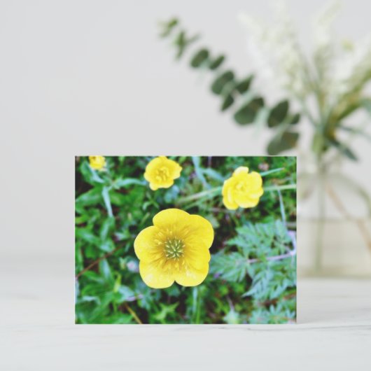 Buttercup Briefkaart (Staand voorkant)