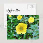 Buttercup Briefkaart (Voorkant / Achterkant)
