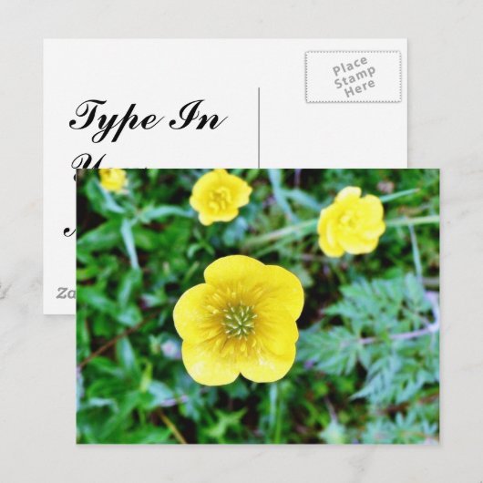 Buttercup Briefkaart (Voorkant / Achterkant)