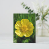 Buttercup Briefkaarten (Staand voorkant)