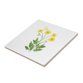 Buttercup Butterfly Tegeltje (Zijkant)