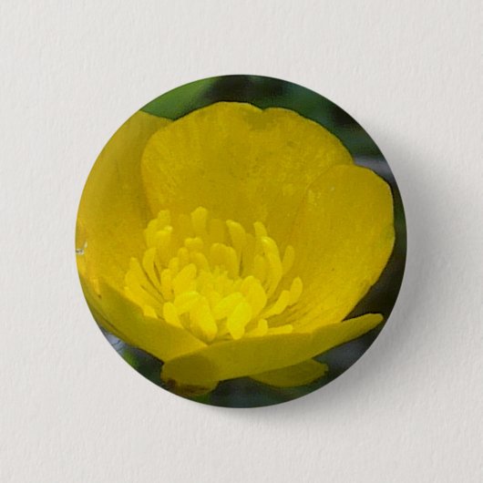 Buttercup Button (Voorkant)