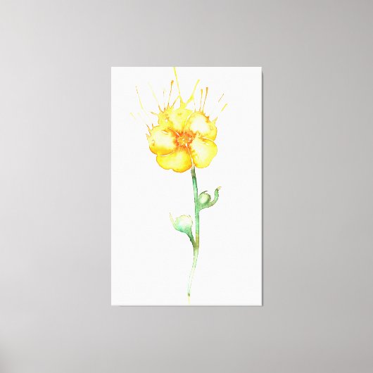 Buttercup Canvas Afdruk (Voorkant)