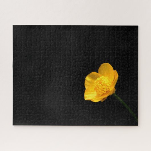 Buttercup Flower 16x20 520pc jpcn Legpuzzel (Horizontaal)