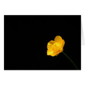 Buttercup Flower gccna (Voorkant Horizontaal)