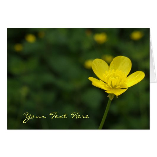 Buttercup Flower Kaart (Voorkant Horizontaal)