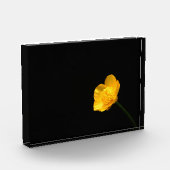 Buttercup Flower pbcna Fotoblokken (Links)