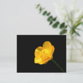 Buttercup Flower pccnm Briefkaart (Staand voorkant)