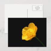 Buttercup Flower pccnm Briefkaart (Voorkant / Achterkant)