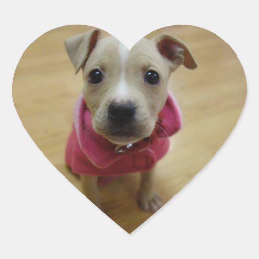 Buttercup Hart Sticker (Voorkant)