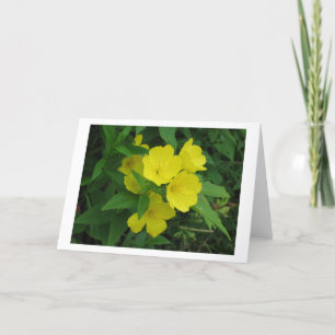 Buttercup Kaart