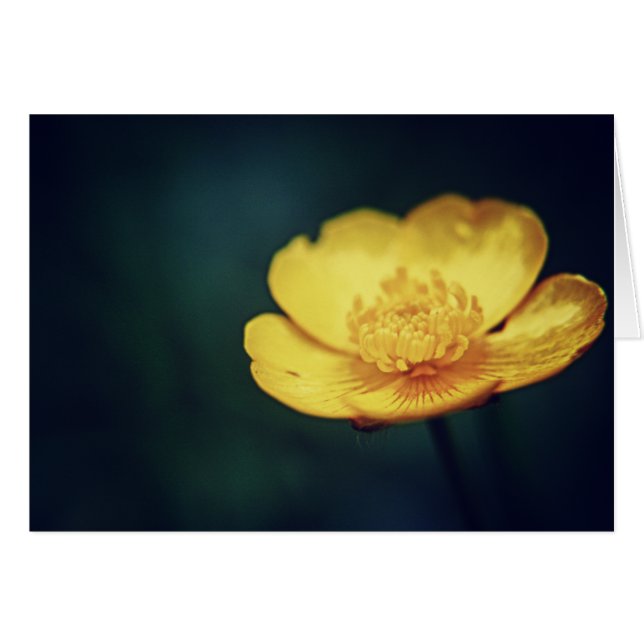 Buttercup-kaart (Voorkant Horizontaal)