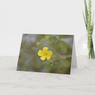Buttercup Kaart