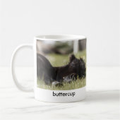 Buttercup Mok (Links)