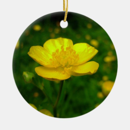 Buttercup Ornament Flowers kerstdecoratie (Voorkant)