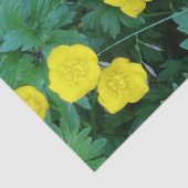 Buttercup-papier Tissuepapier (Detail)