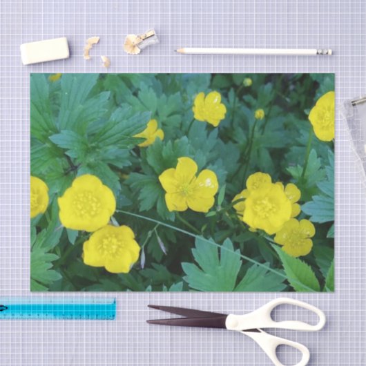 Buttercup-papier Tissuepapier (Craft)
