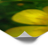 Buttercup Poster - Wildfower Art afdrukken (Hoek)