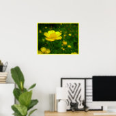 Buttercup Poster - Wildfower Art afdrukken (Thuiskantoor)