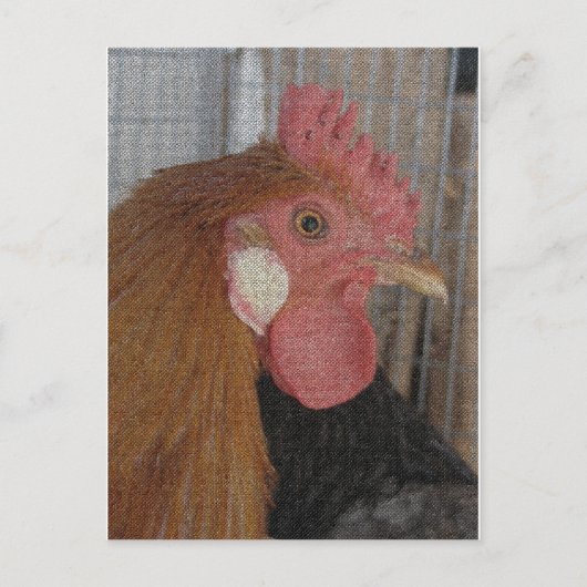 Buttercup Rooster Briefkaart (Voorkant)