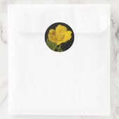 Buttercup ~ sticker (Tas)