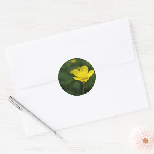 Buttercup Stickers (Envelop)