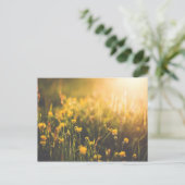 Buttercup Sundown Briefkaart (Staand voorkant)