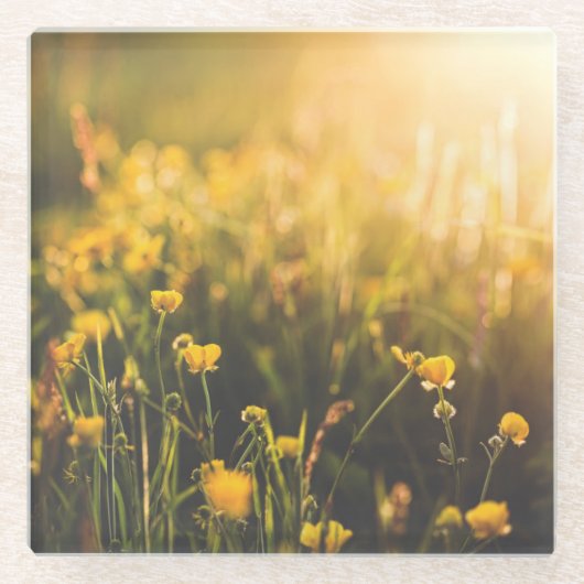 Buttercup Sundown Glazen Onderzetter (Voorkant)