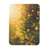 Buttercup Sundown Magneet (Verticaal)