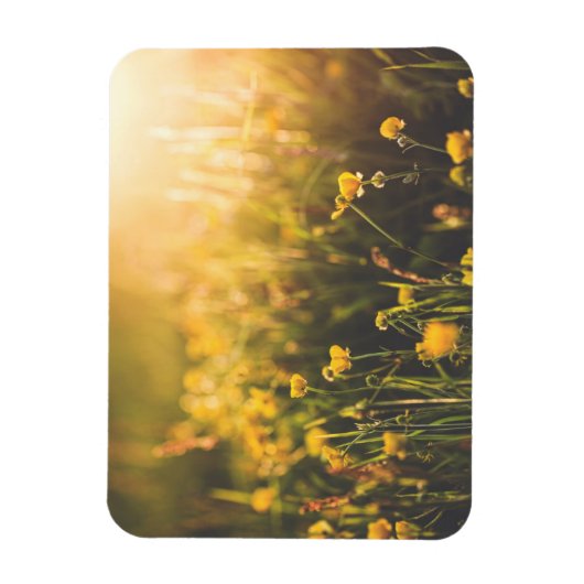 Buttercup Sundown Magneet (Verticaal)