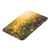 Buttercup Sundown Magneet (Linkerzijde)