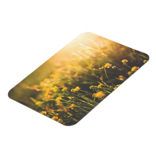 Buttercup Sundown Magneet (Linkerzijde)
