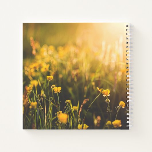 Buttercup Sundown Notitieboek (Achterkant)