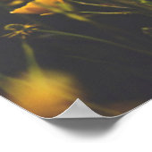 Buttercup Sundown Poster (Hoek)