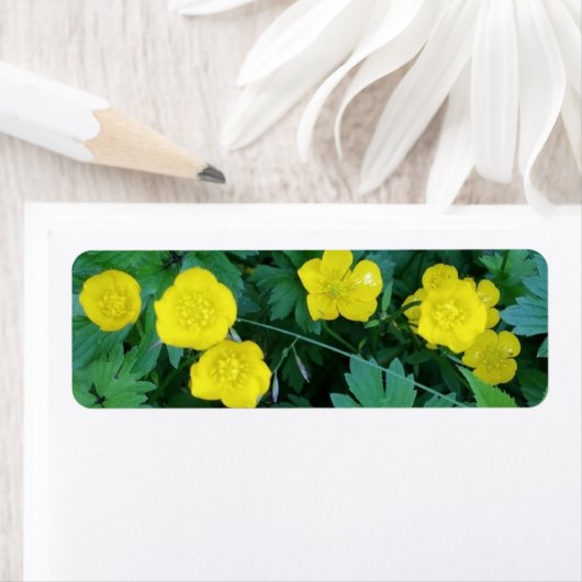 Buttercup Themed Labels (Insitu)