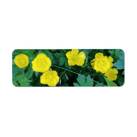 Buttercup Themed Labels (Voorkant)