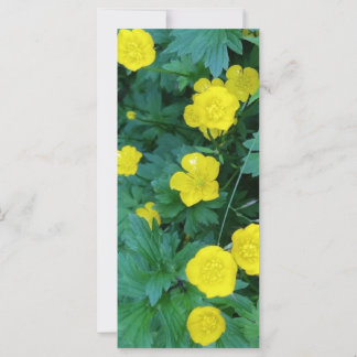 Buttercup ThMED RAK Kaart