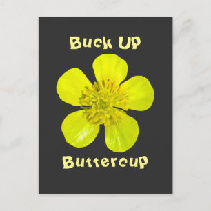 Buttercup ventilator - Buck Up Buttercup. Briefkaart