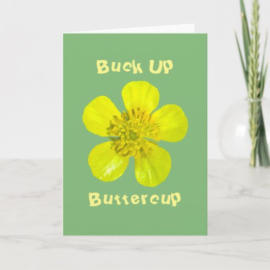Buttercup ventilator - Buck Up Buttercup. Kaart (Voorkant)