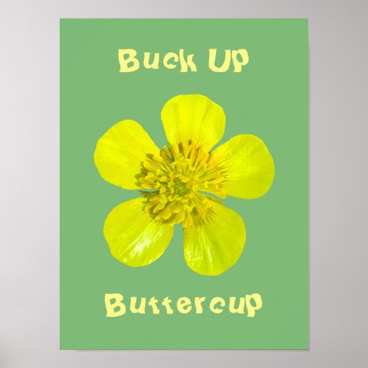 Buttercup ventilator - Buck Up Buttercup. Poster (Voorkant)