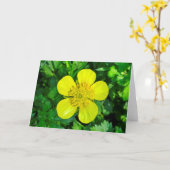 Buttercup ventilator. kaart (Gele Bloem)